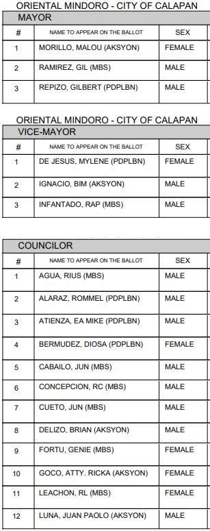 calapan city councilors 2023 list|2022 ELECTION RESULTS: Calapan City, Oriental Mindoro.